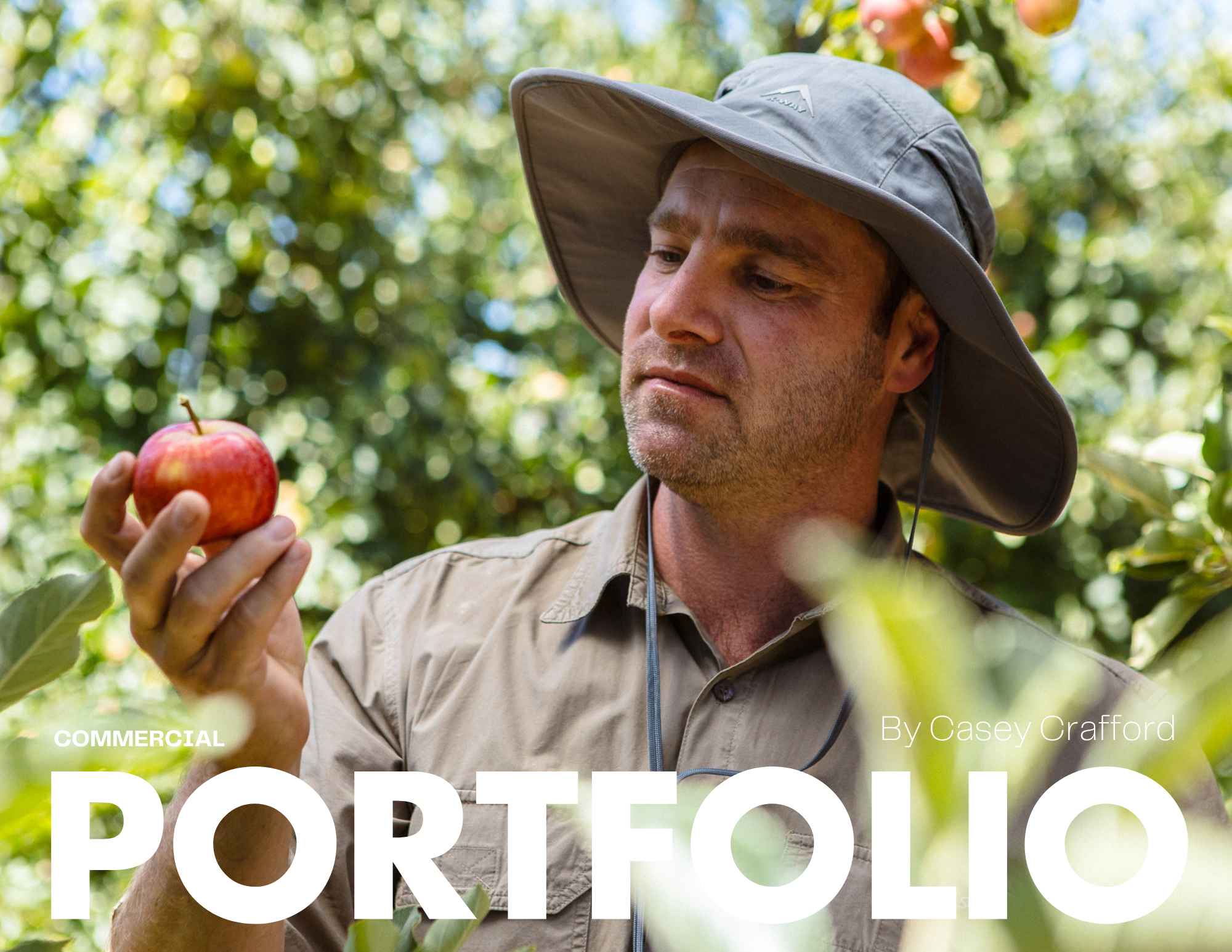 Man examining apple in orchard wearing hat